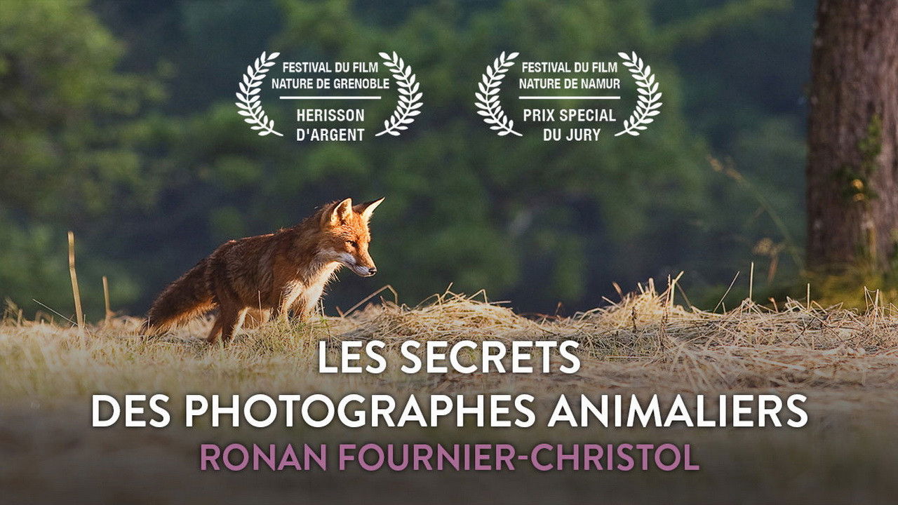 Backdrop for Les secrets des photographes animaliers
