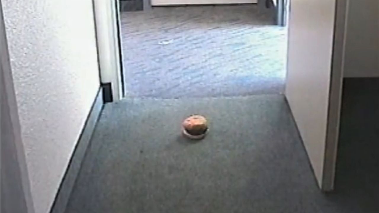 Backdrop for Hamburger Dad