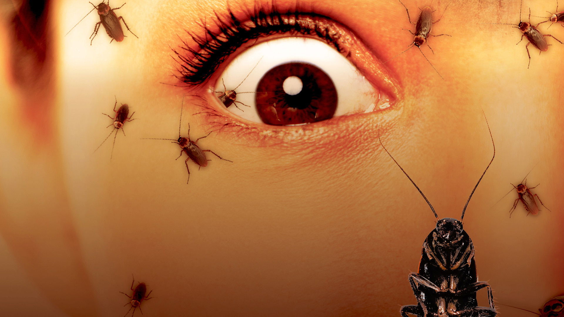 Backdrop for They Will Outlive Us All