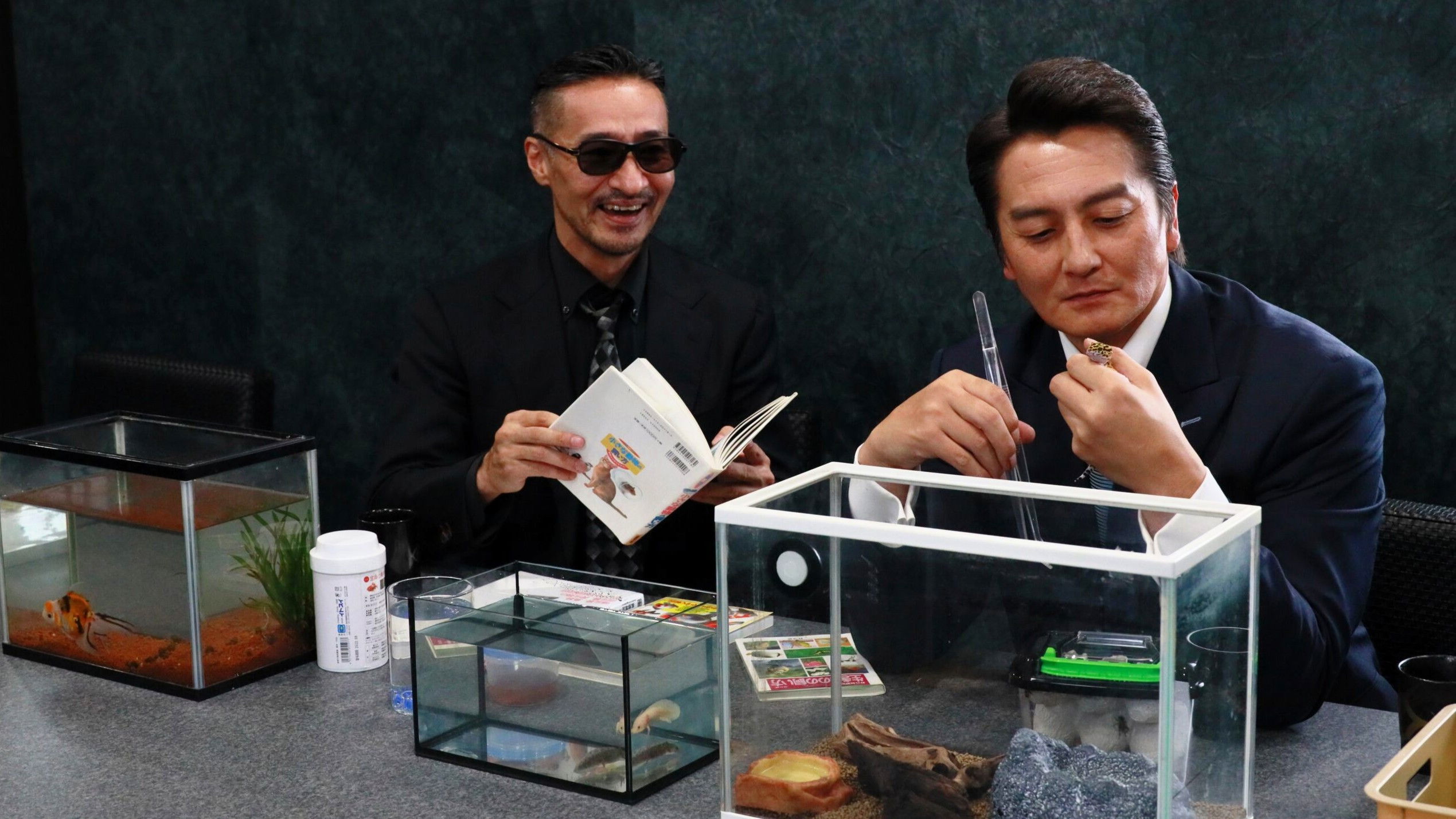 Backdrop for Unification of Japan Gaiden: Yamazaki Family — Joji and His Merry Friends