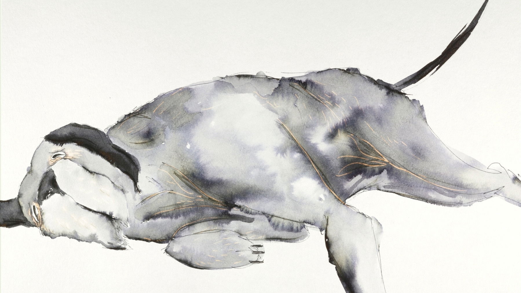 Backdrop for La Perra