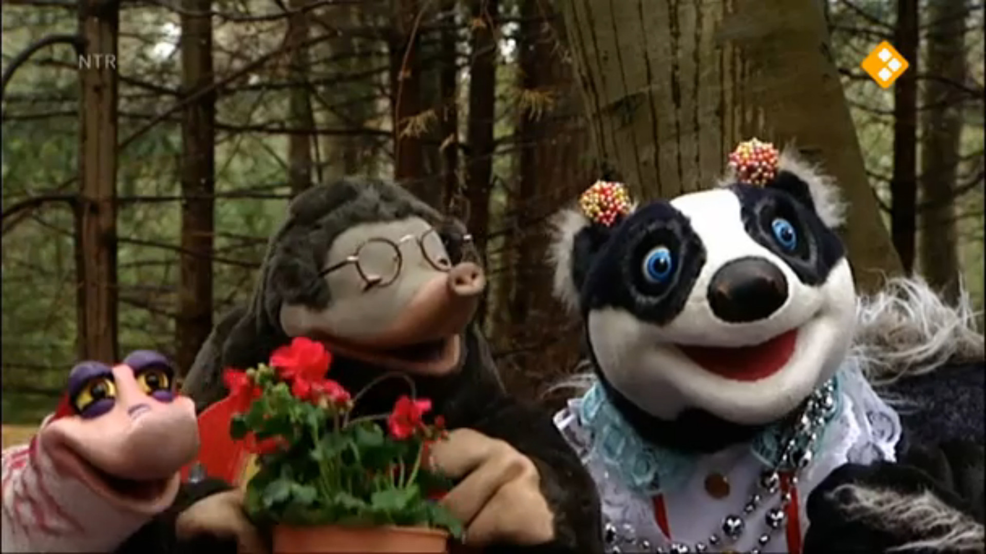 Backdrop for Koekeloere