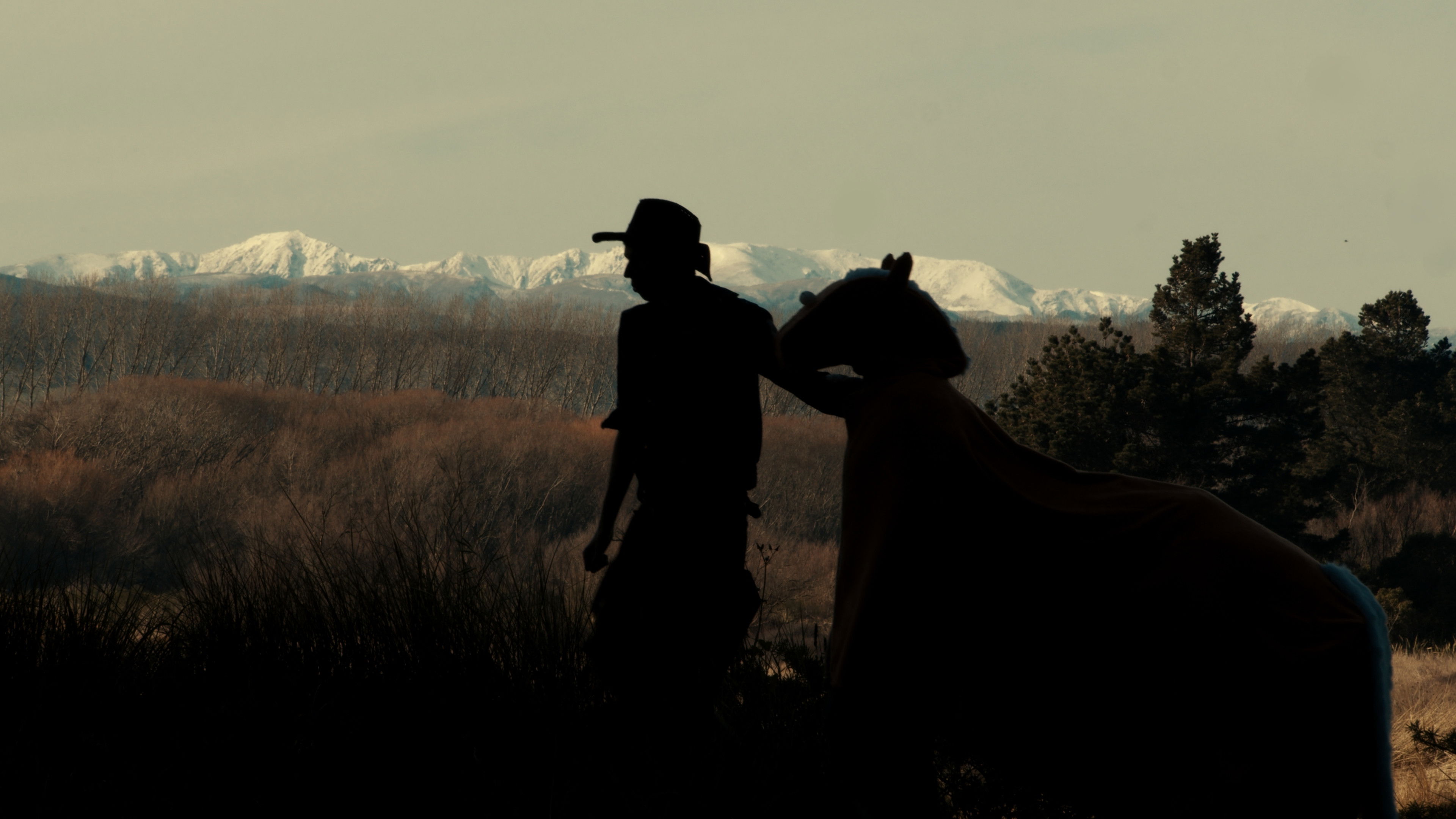 Backdrop for The True Story of Billy the Horse