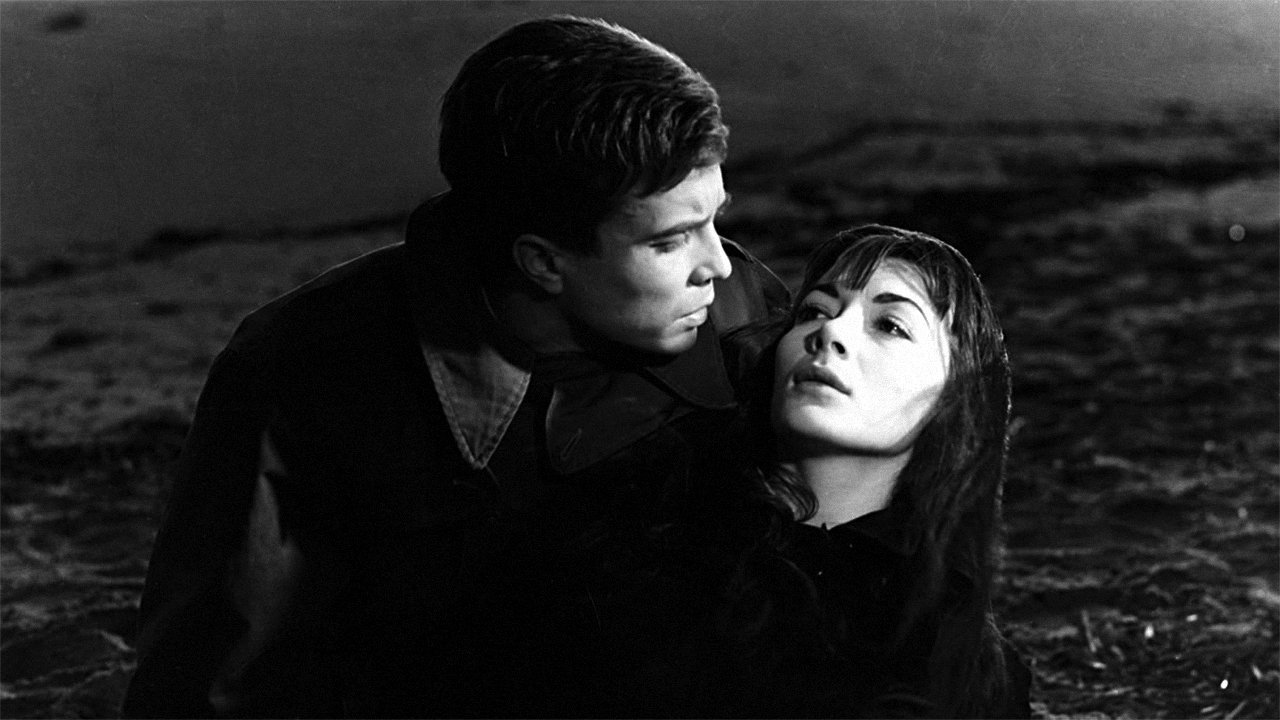 Backdrop for When You Read This Letter