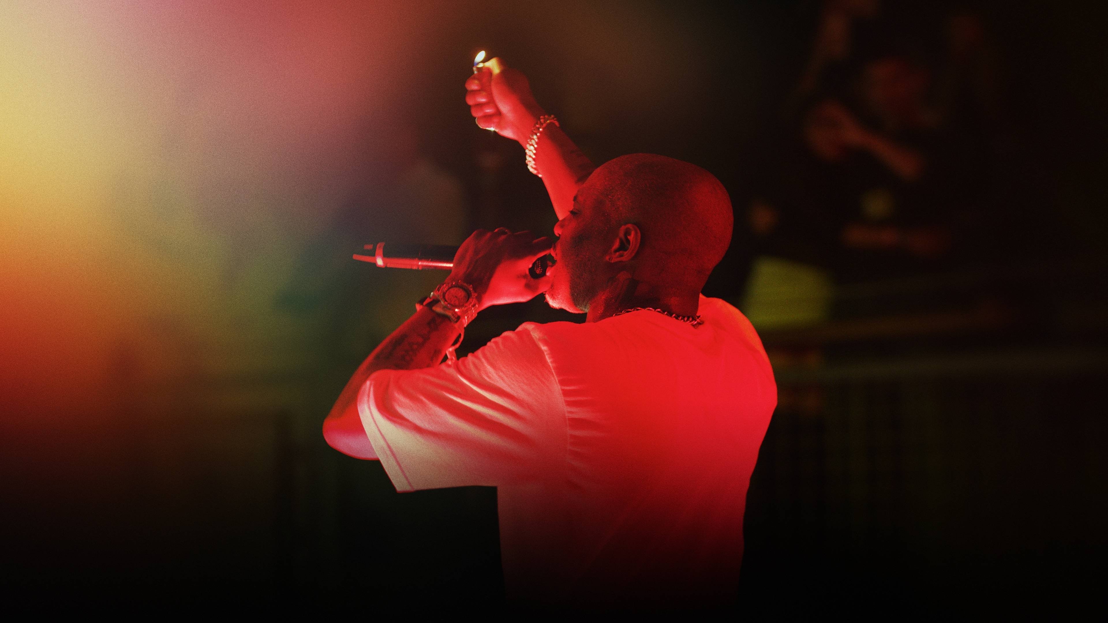 Backdrop for DMX: Don't Try to Understand