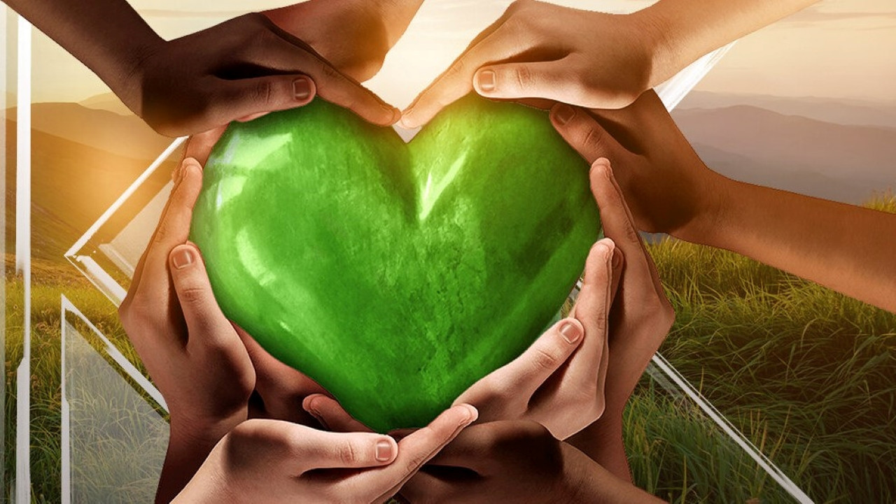 Backdrop for Dankie, Lottoland