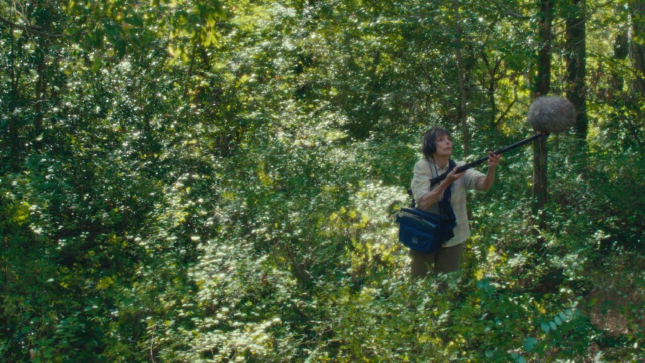 Backdrop for The Mysterious Adventures of Claude Conseil