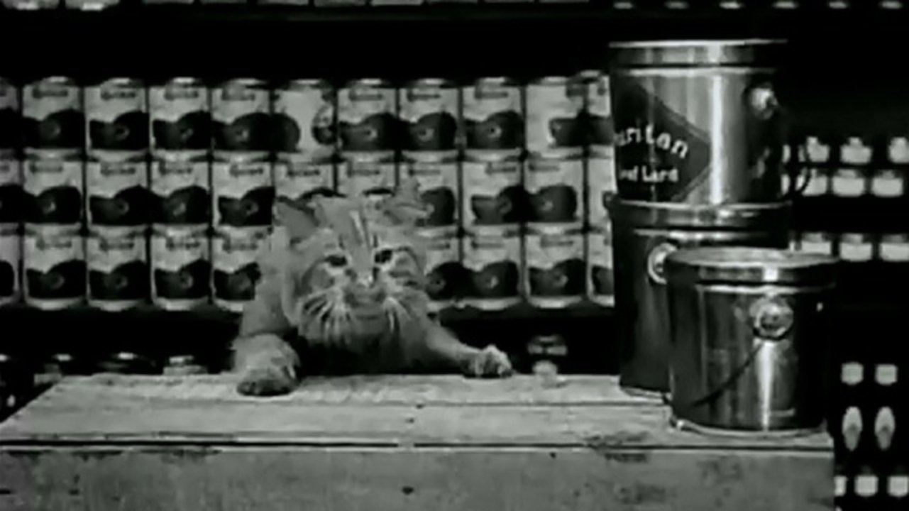 Backdrop for The Grocery Clerk