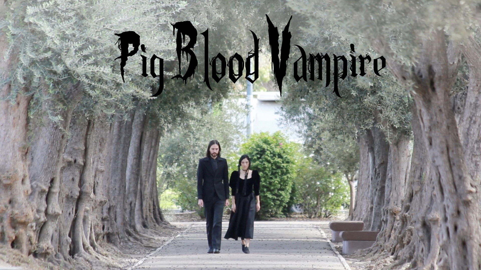 Backdrop for Pig Blood Vampire
