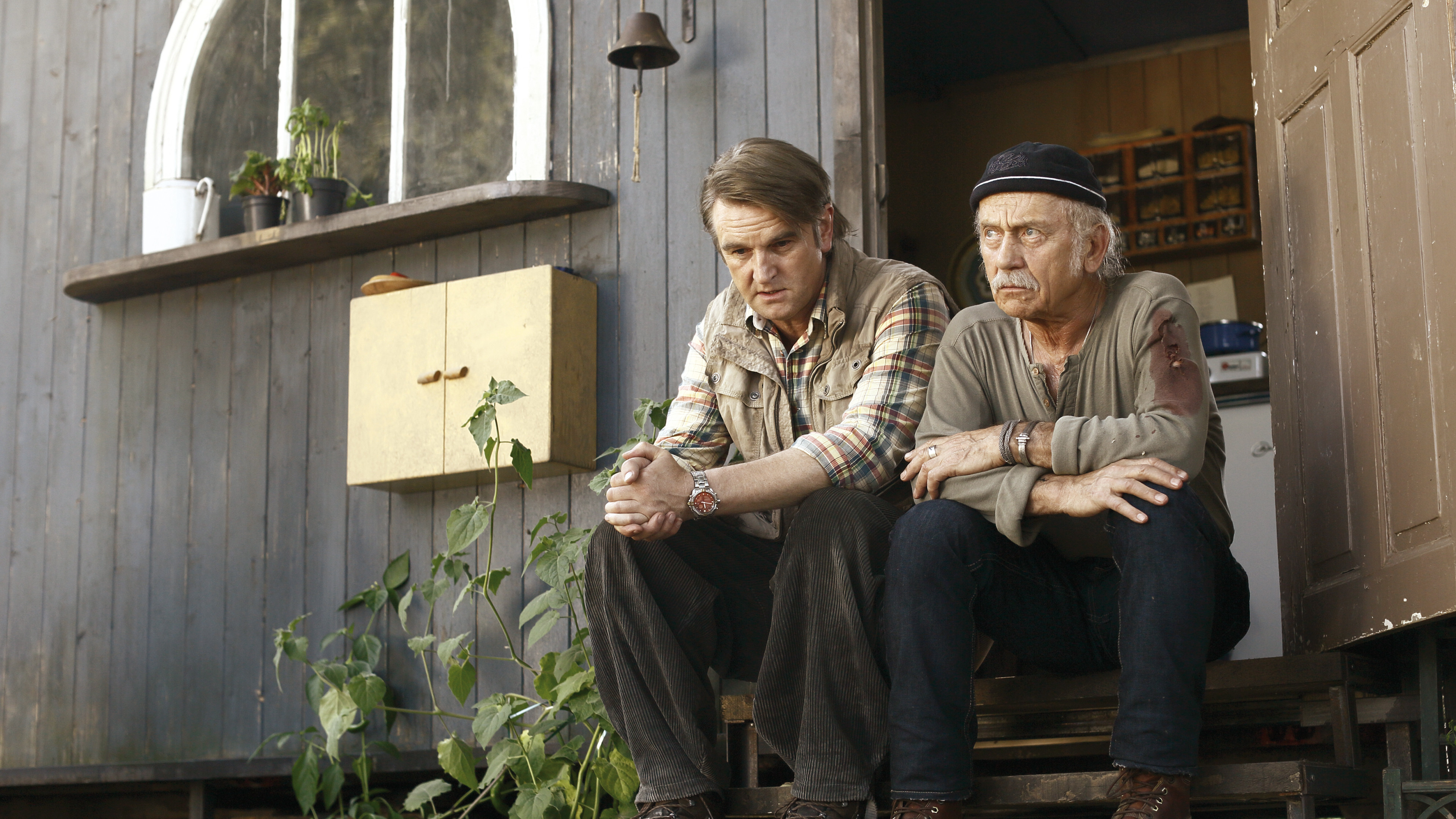 Backdrop for Windstorm