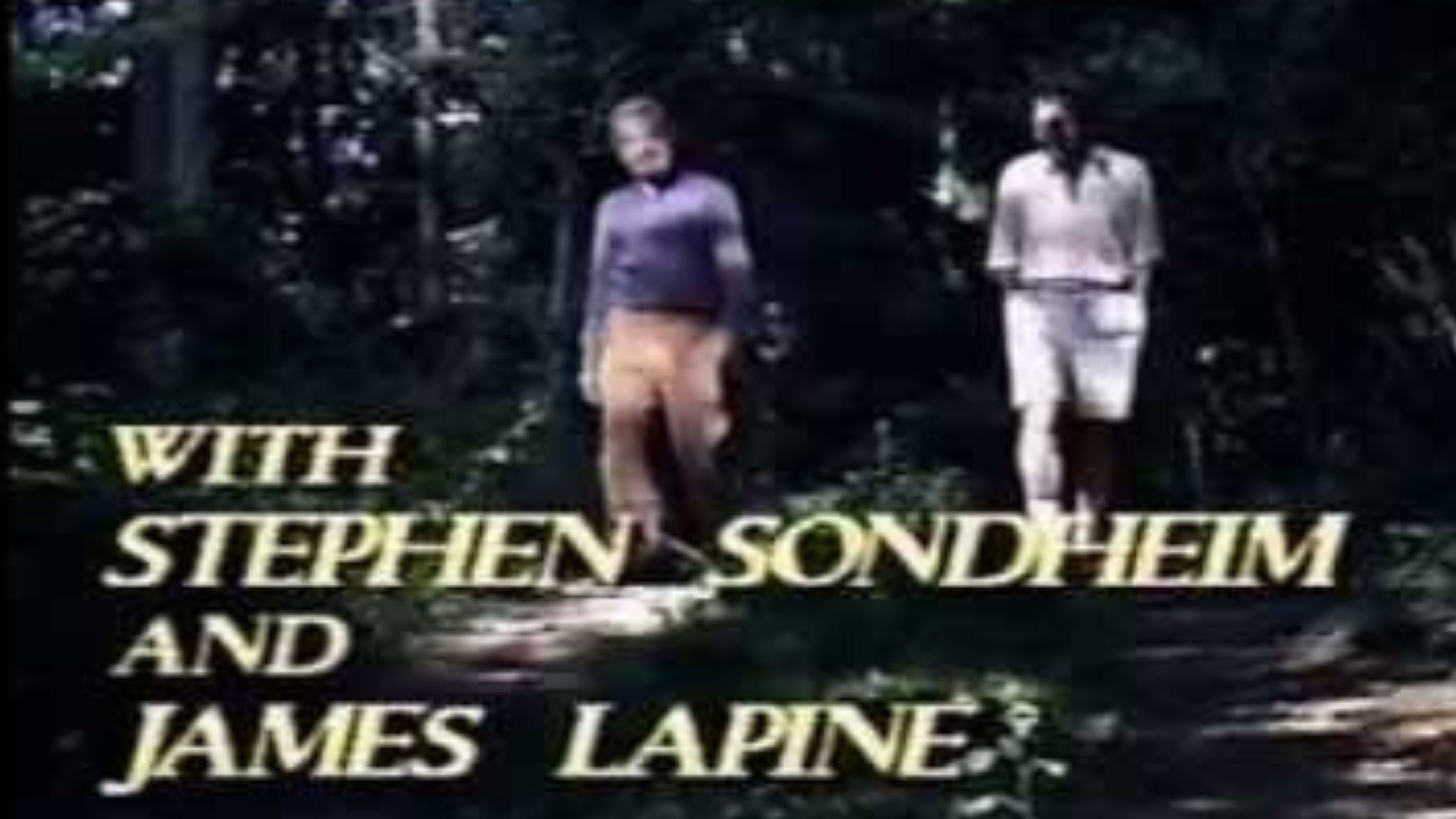 Backdrop for Into the Woods: A Conversationpiece