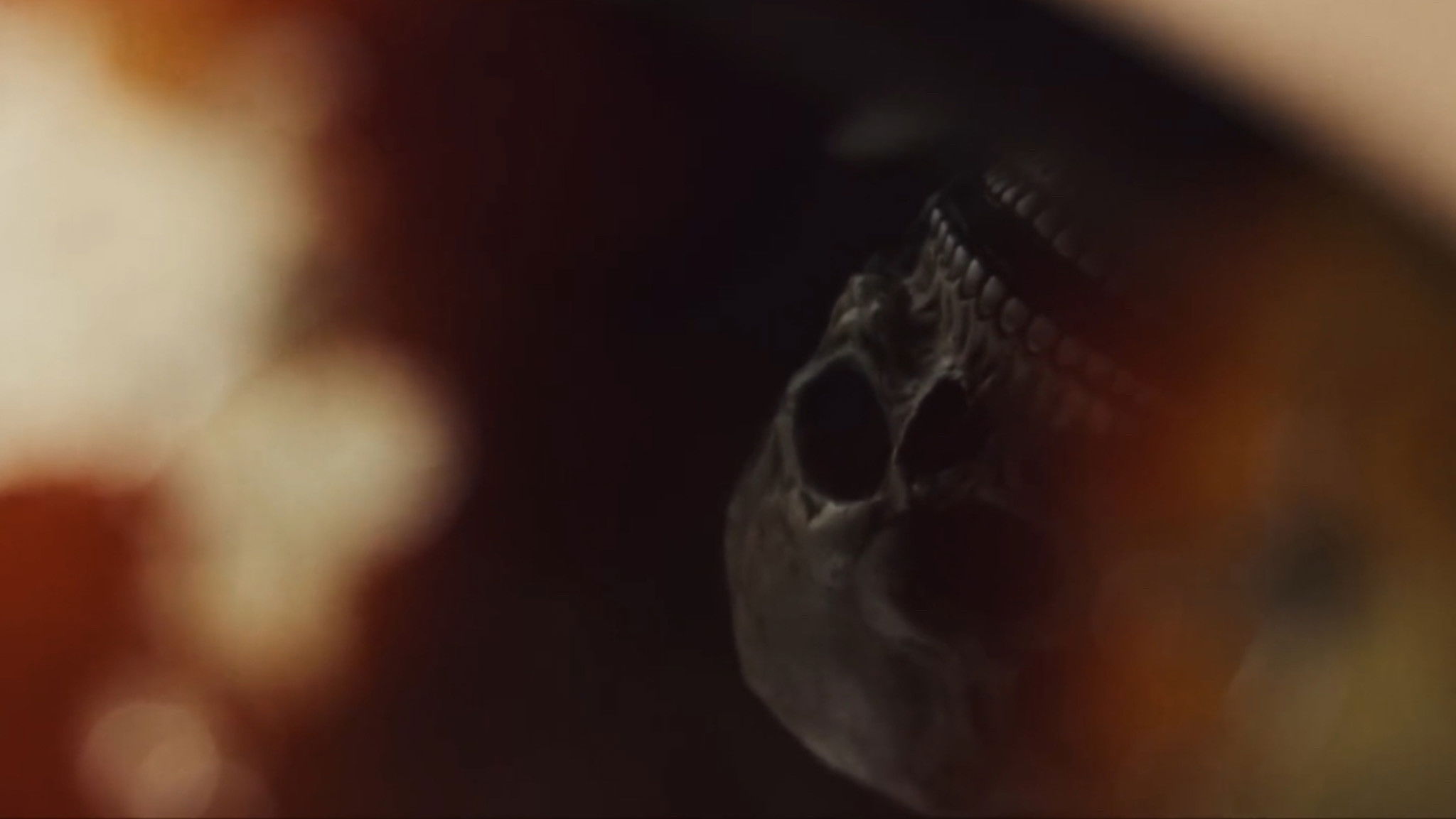 Backdrop for Trick or Treat 2!