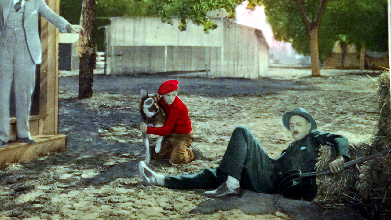 Backdrop for A Race for Life