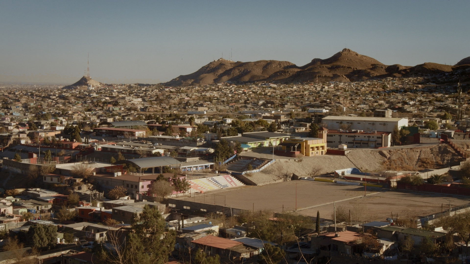 Backdrop for Dragonfly
