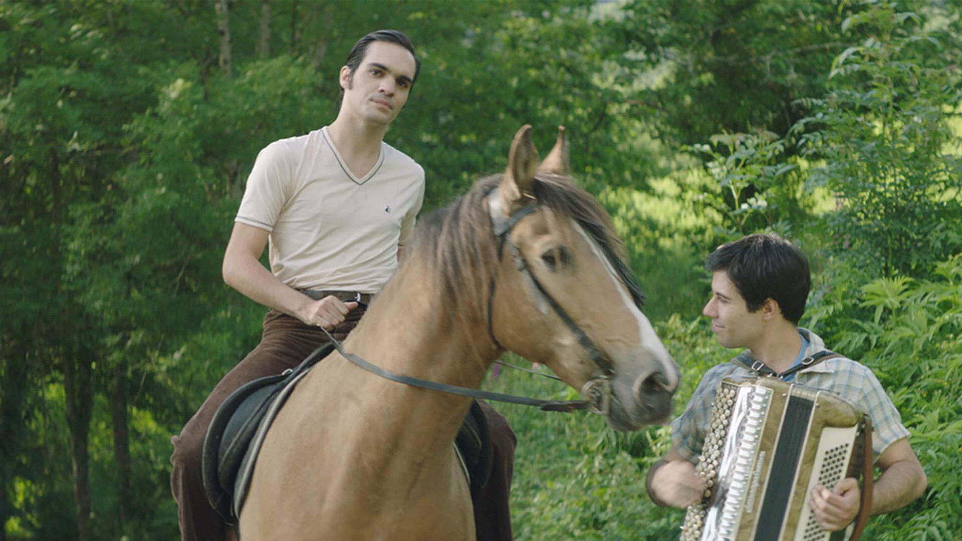 Backdrop for The Accordionist's Son