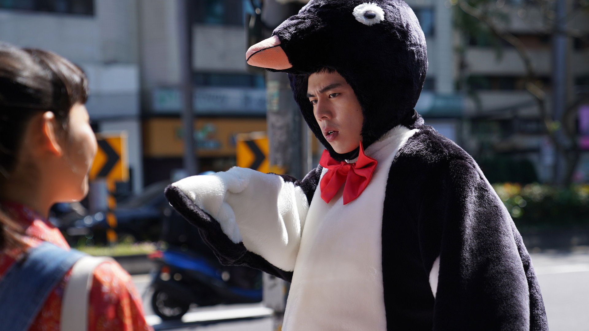 Backdrop for Penguin Girl