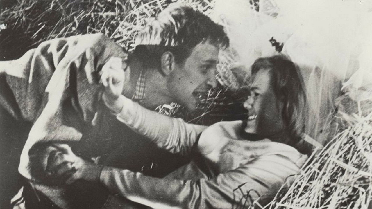 Backdrop for Swedish Wedding Night