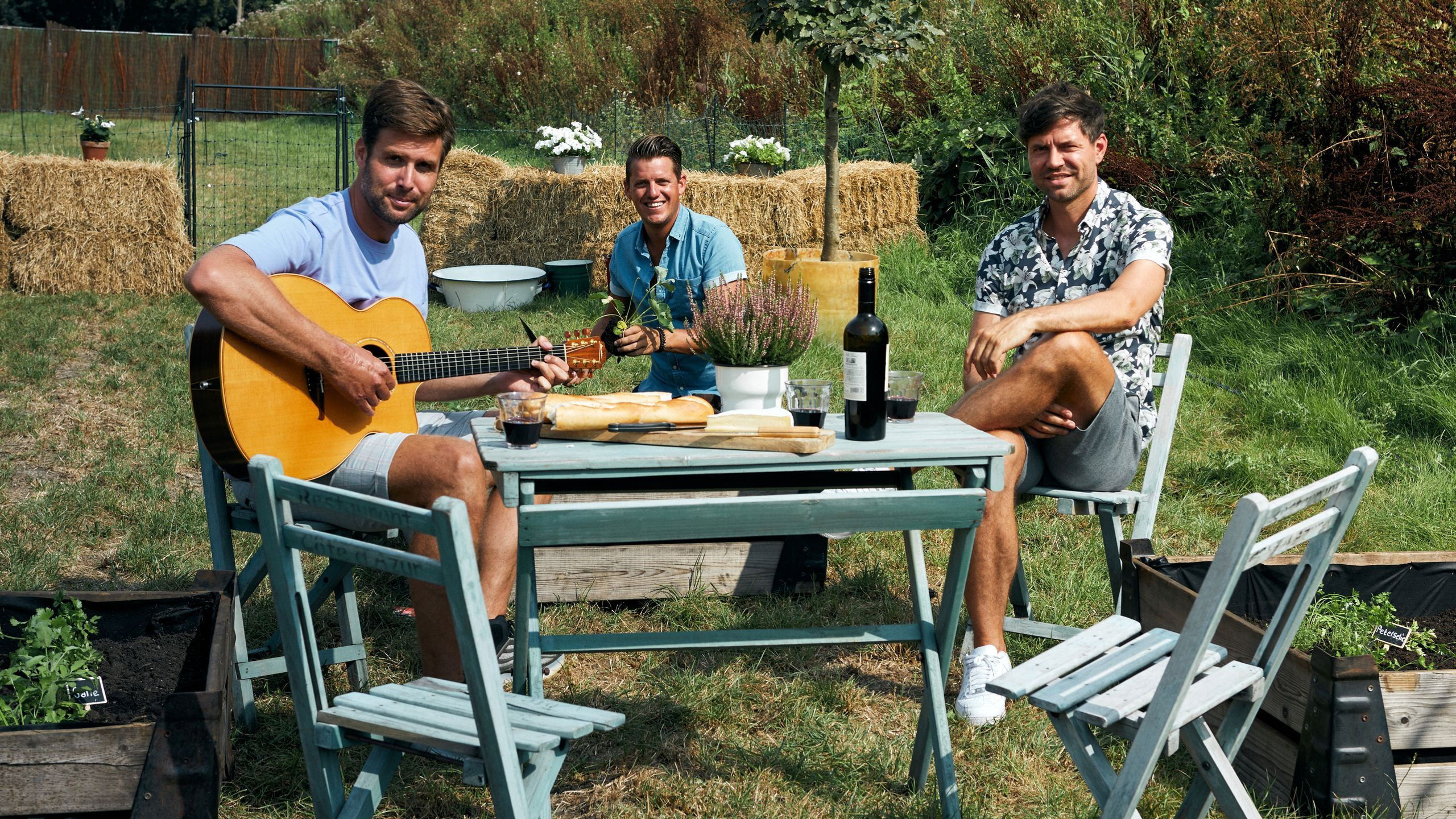 Backdrop for De 3 sterren camping