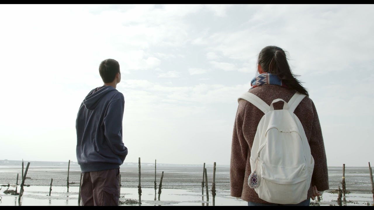 Backdrop for Cattle, Oyster and Memories​