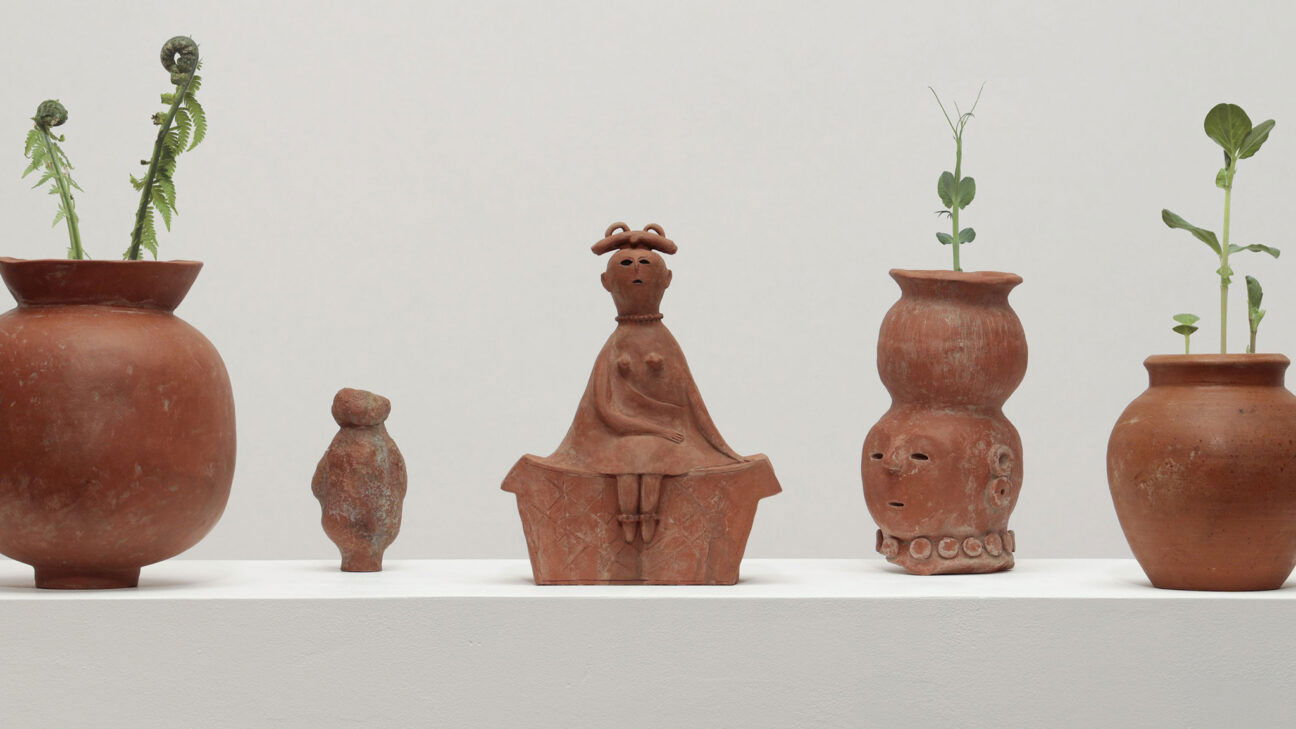 Backdrop for Still Lives