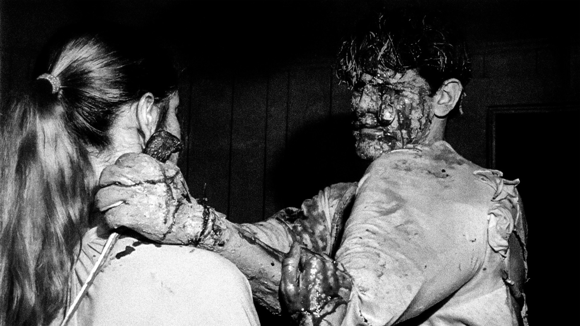 Backdrop for Within the Woods