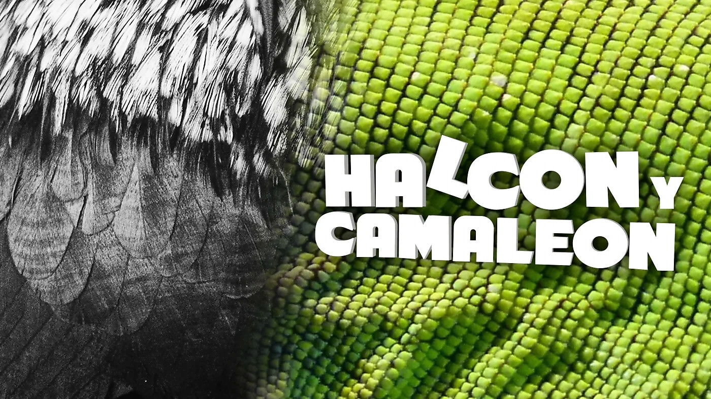 Backdrop for Halcón y camaleón
