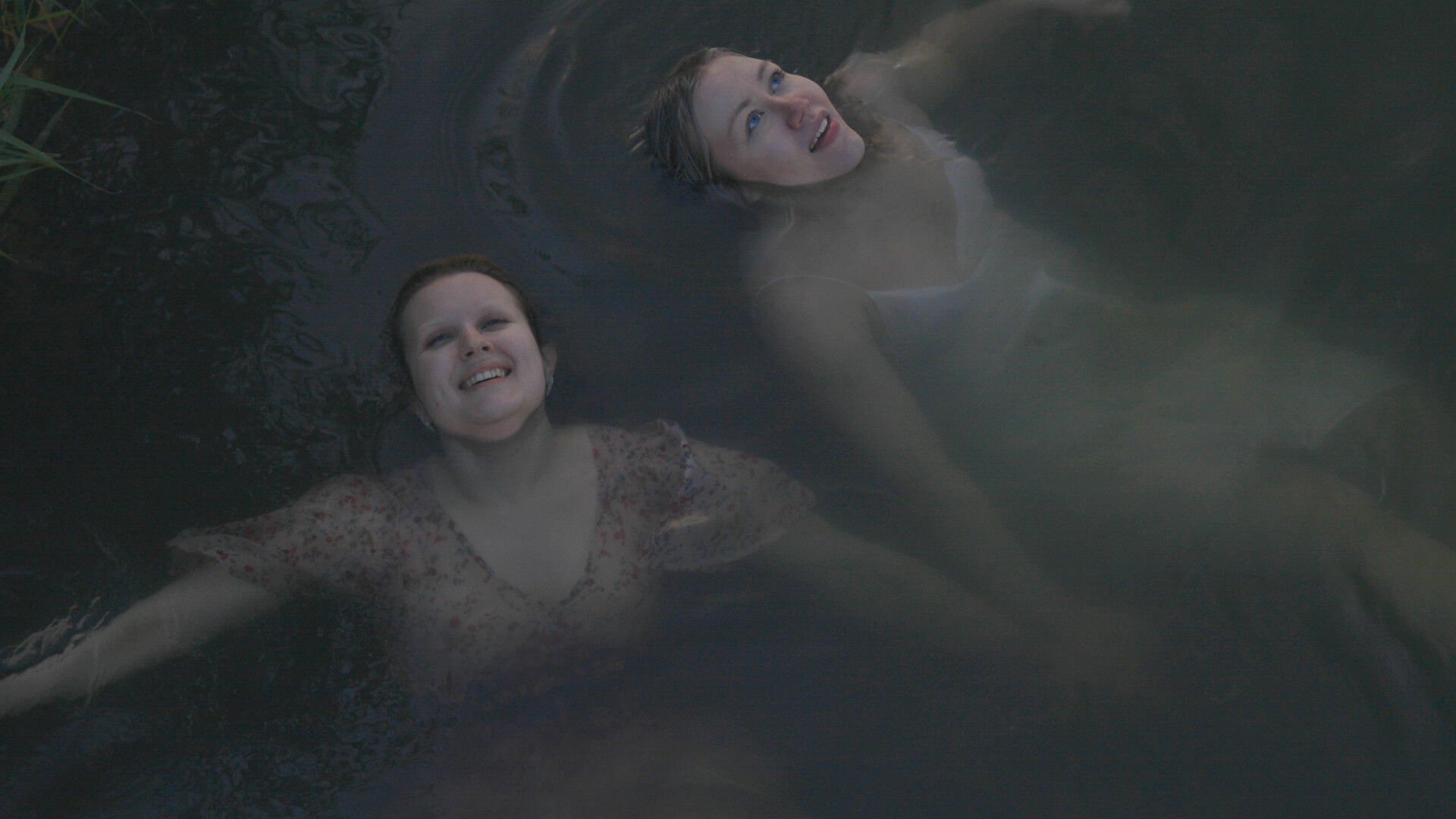 Backdrop for Wild Cloudberries
