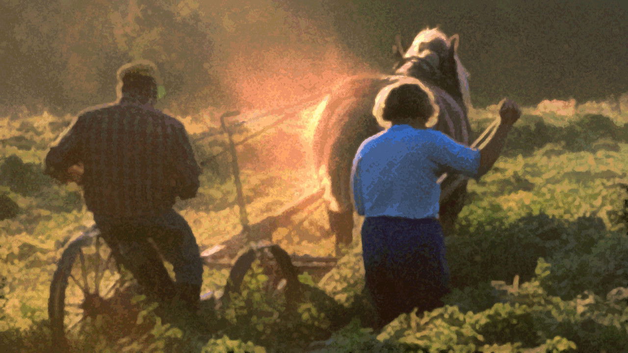 Backdrop for The Farmer's Time on Earth