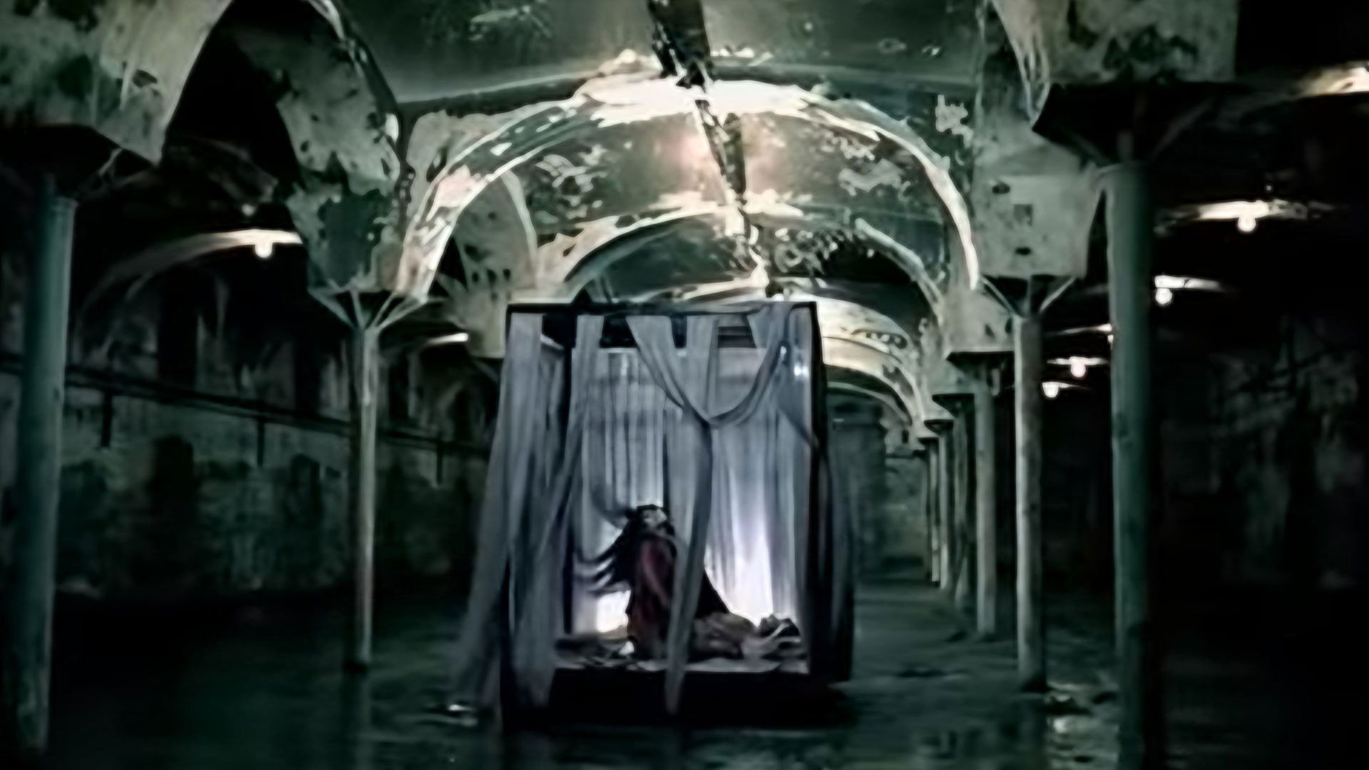 Backdrop for Snow Doesn't Melt Forever