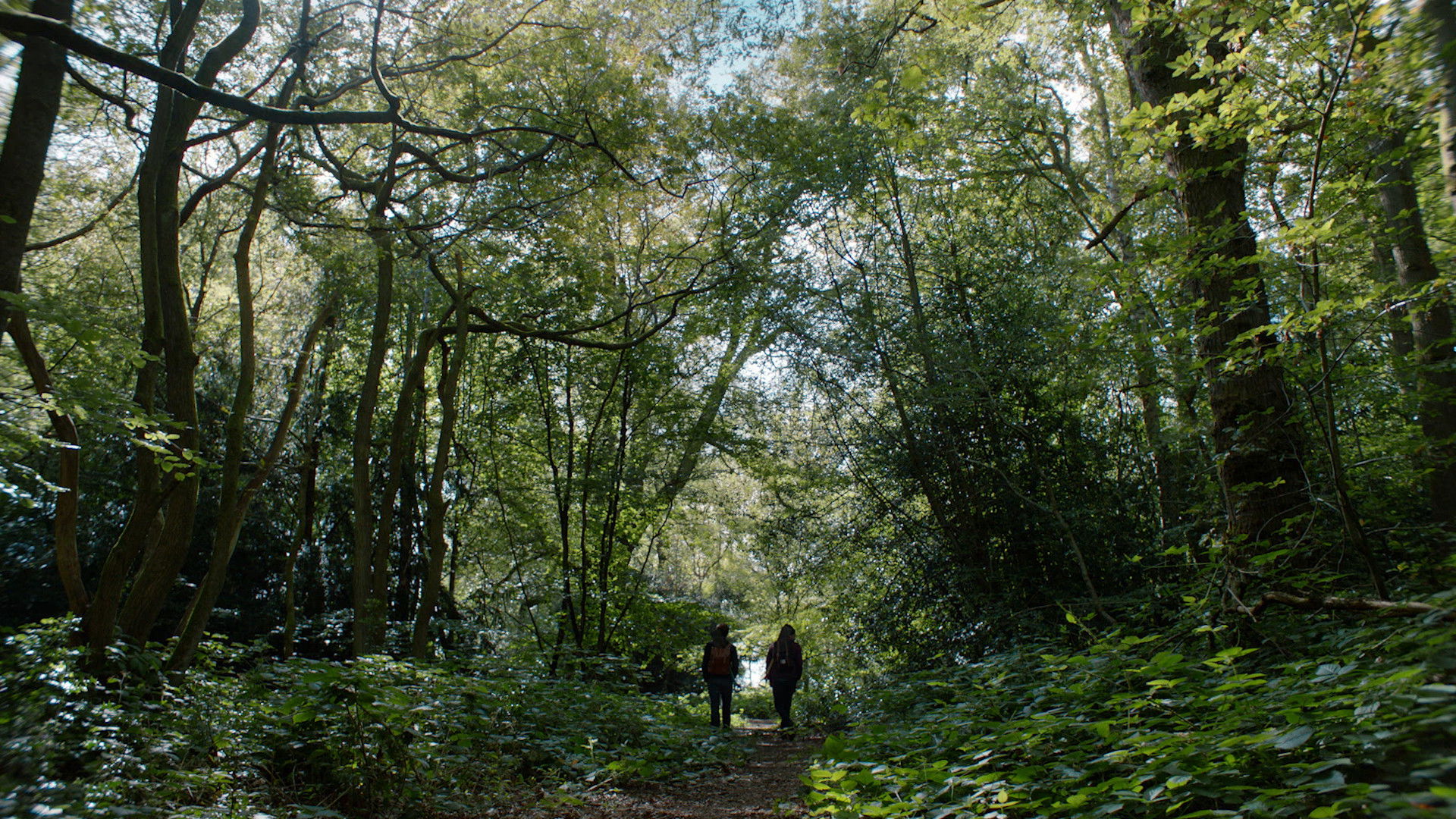 Backdrop for Diggers