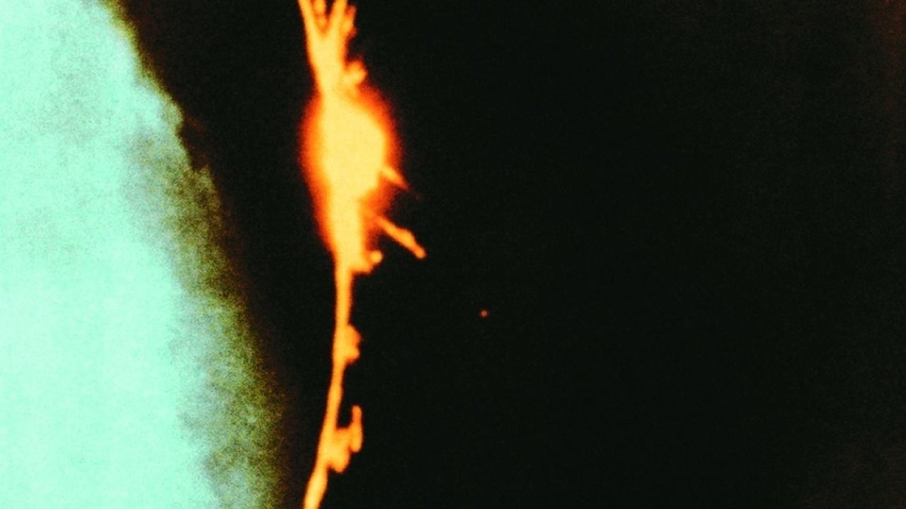 Backdrop for Dog Star Man