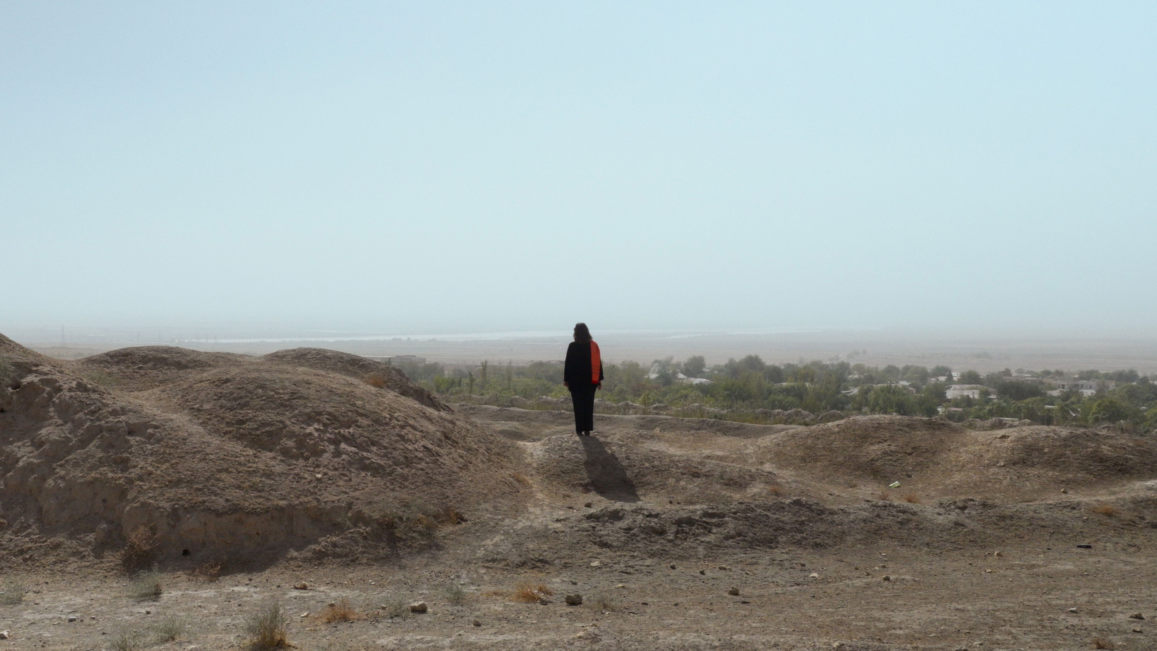 Backdrop for The Last Ambassador