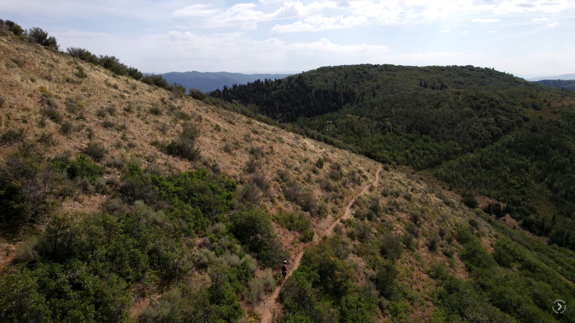 Backdrop for Chasing 400