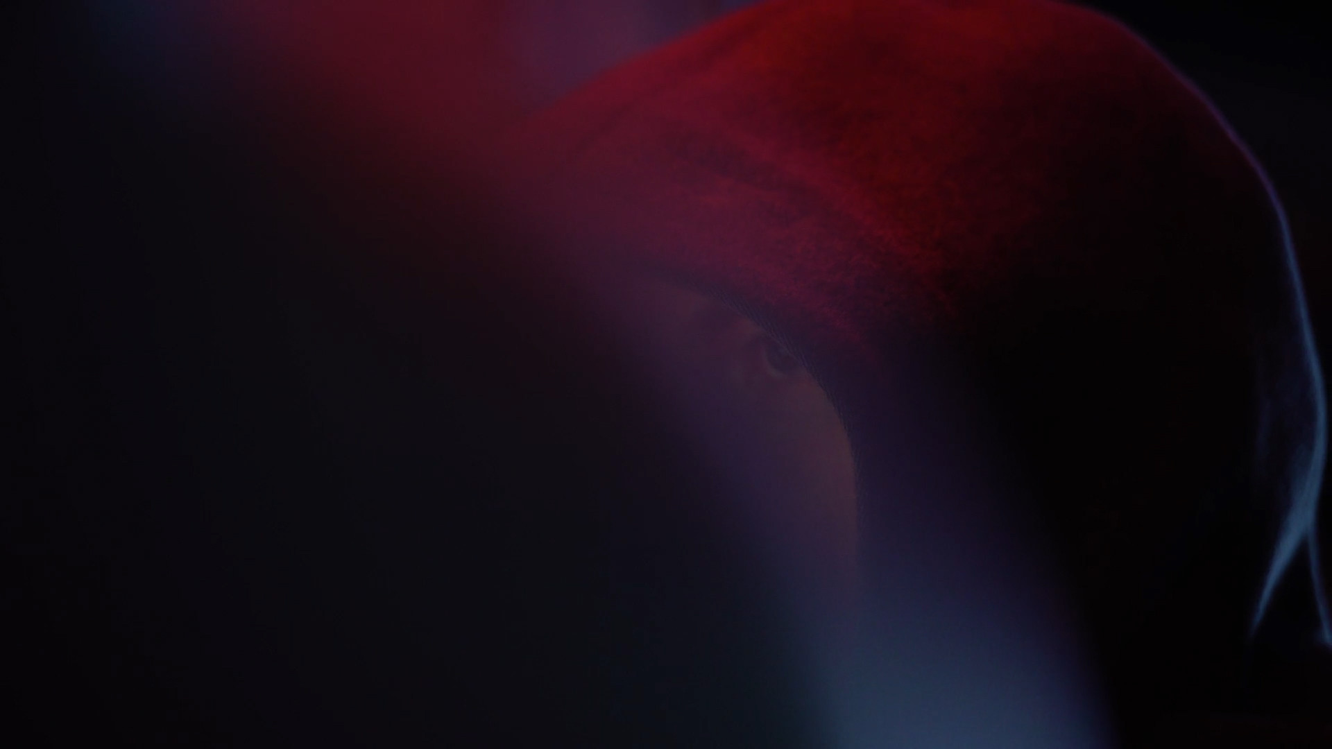 Backdrop for The Choice - The Risks of Web Democracy