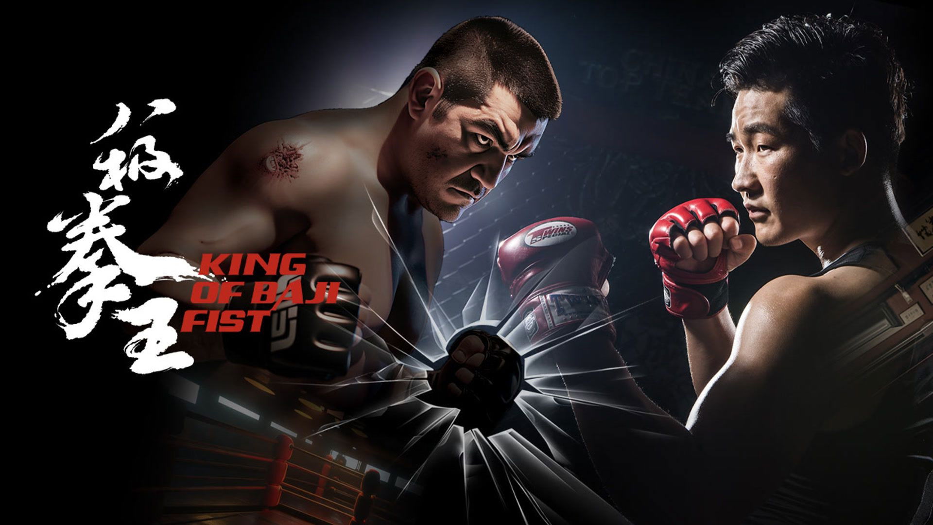 Backdrop for King of Baji Fist