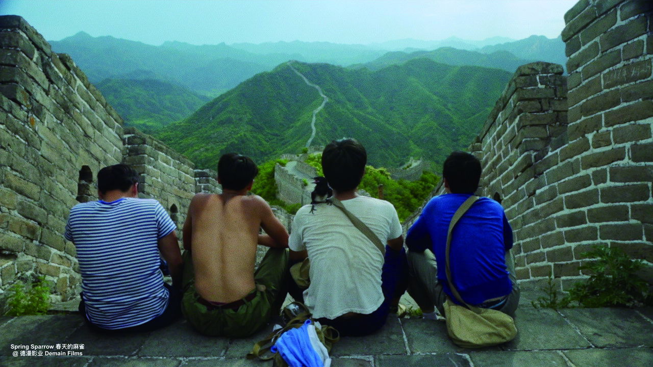 Backdrop for Spring Sparrow