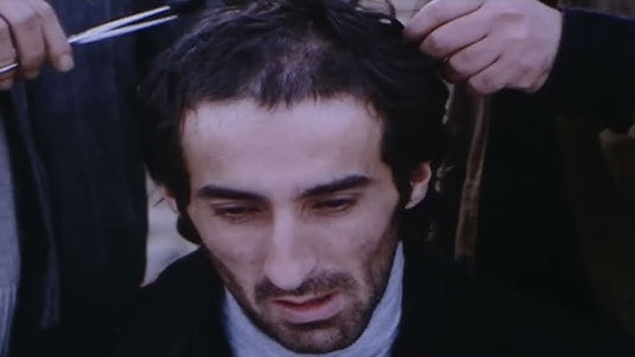 Backdrop for Theatre Life