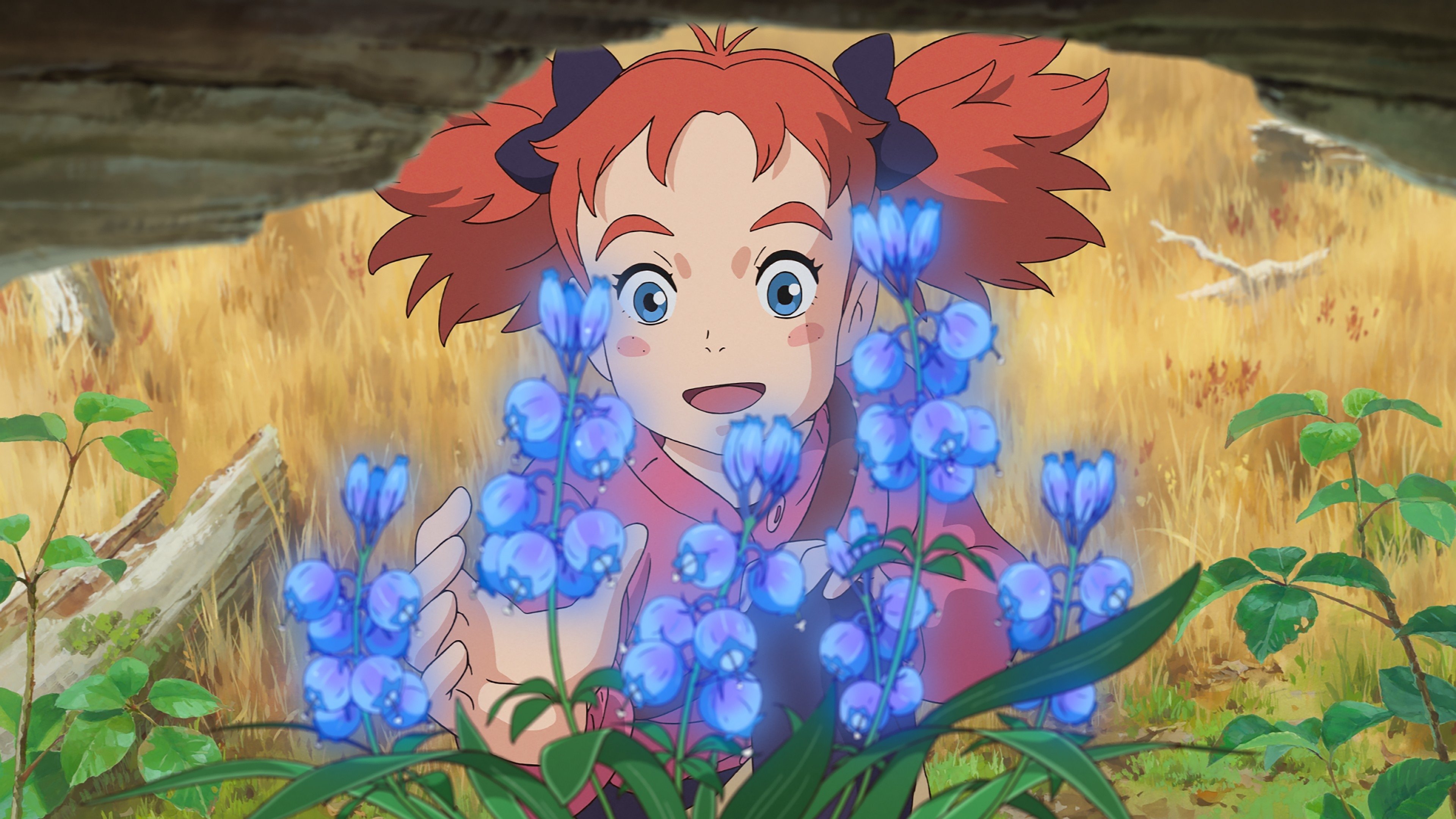 Backdrop for Mary and The Witch's Flower