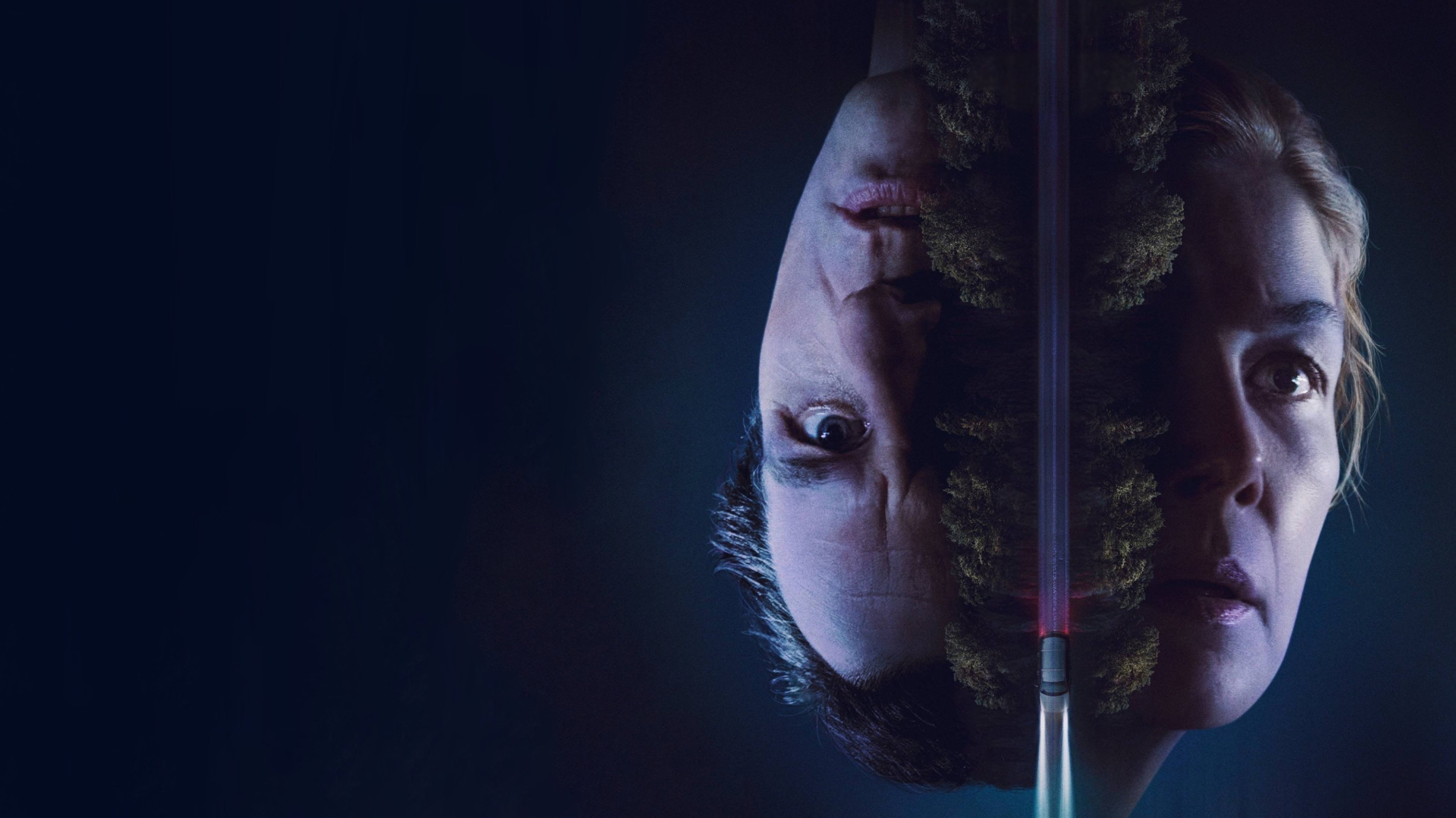 Backdrop for Hallow Road