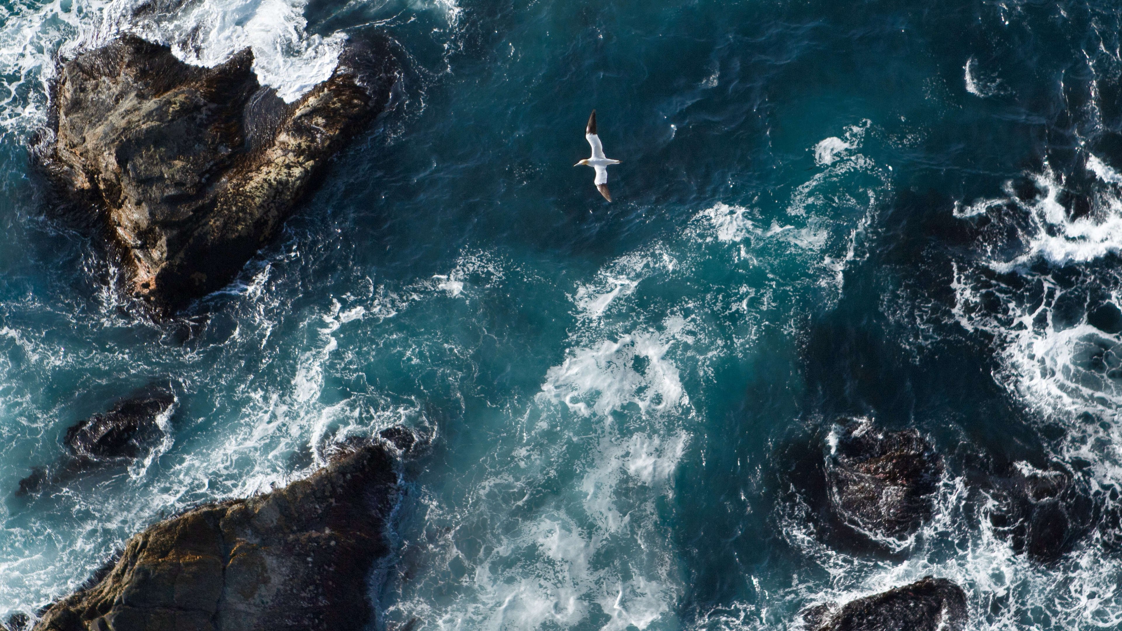 Backdrop for Unsere Meere: Die Nordsee. Die Ostsee