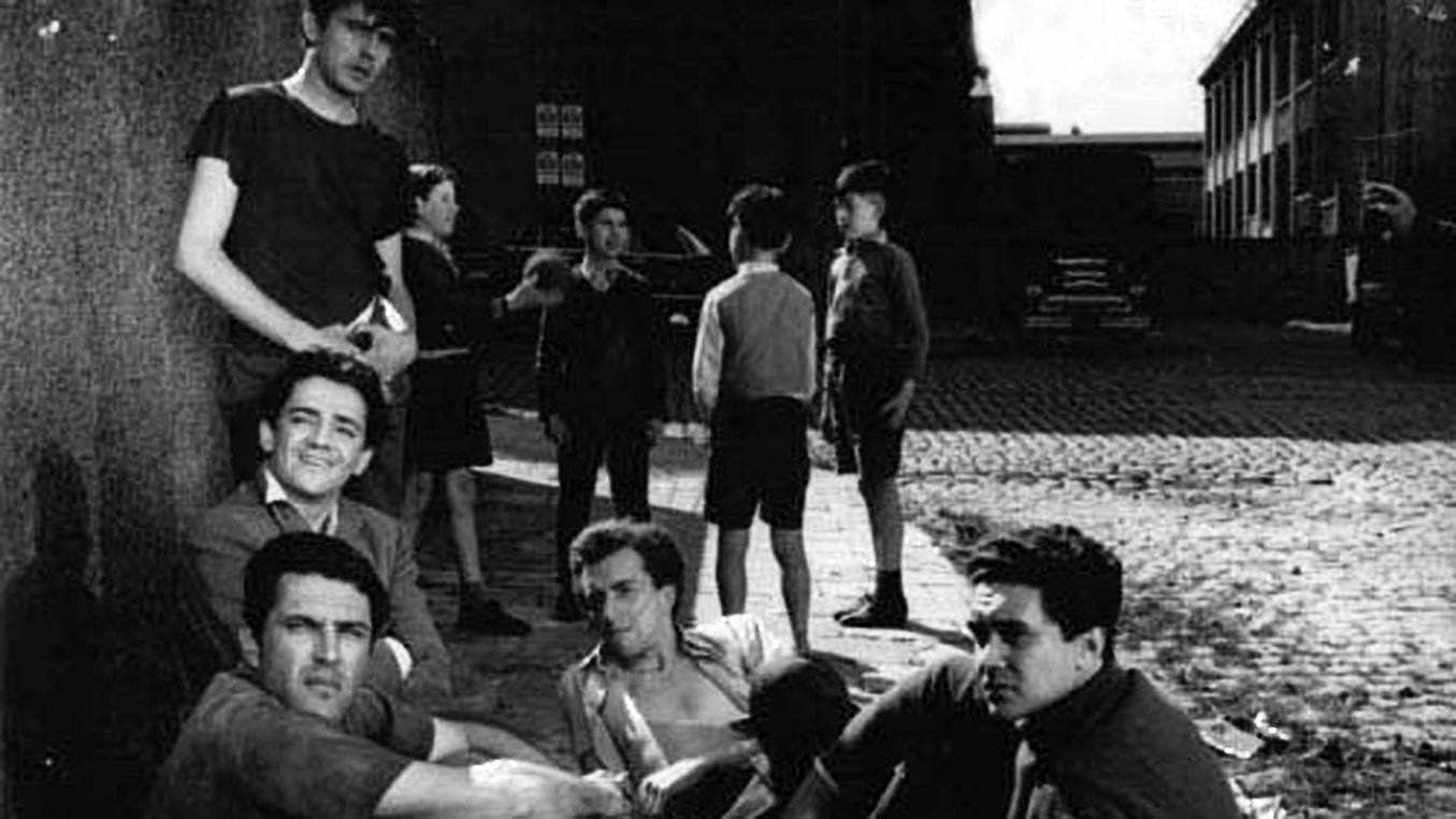 Backdrop for Alias Gardelito