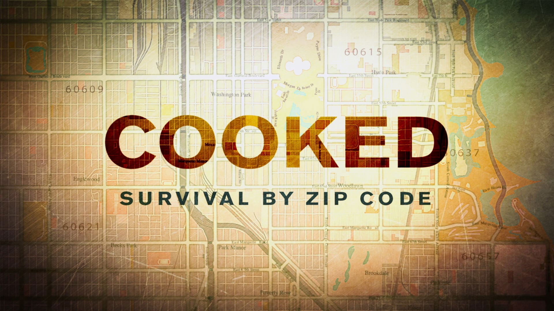 Backdrop for Cooked: Survival by Zip Code