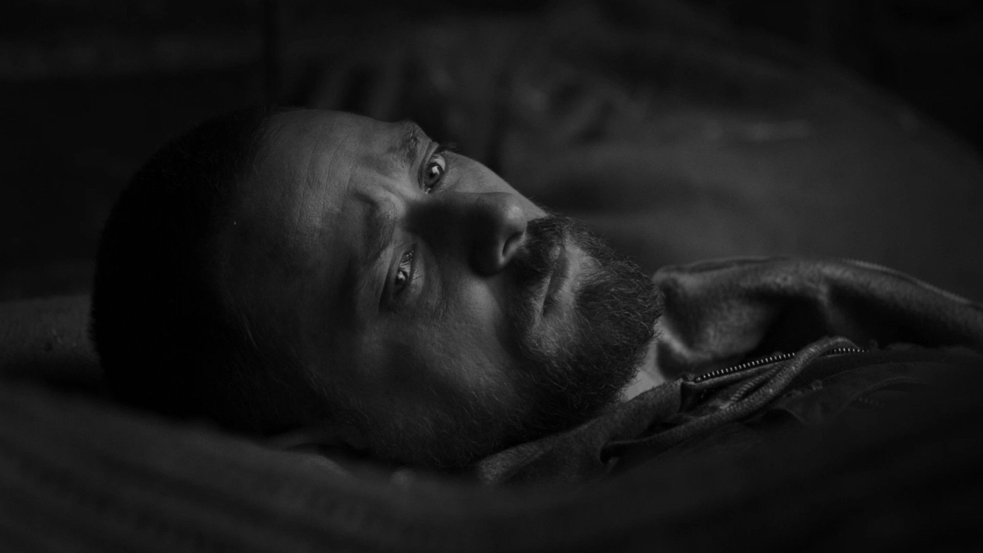 Backdrop for Fugitive Dreams