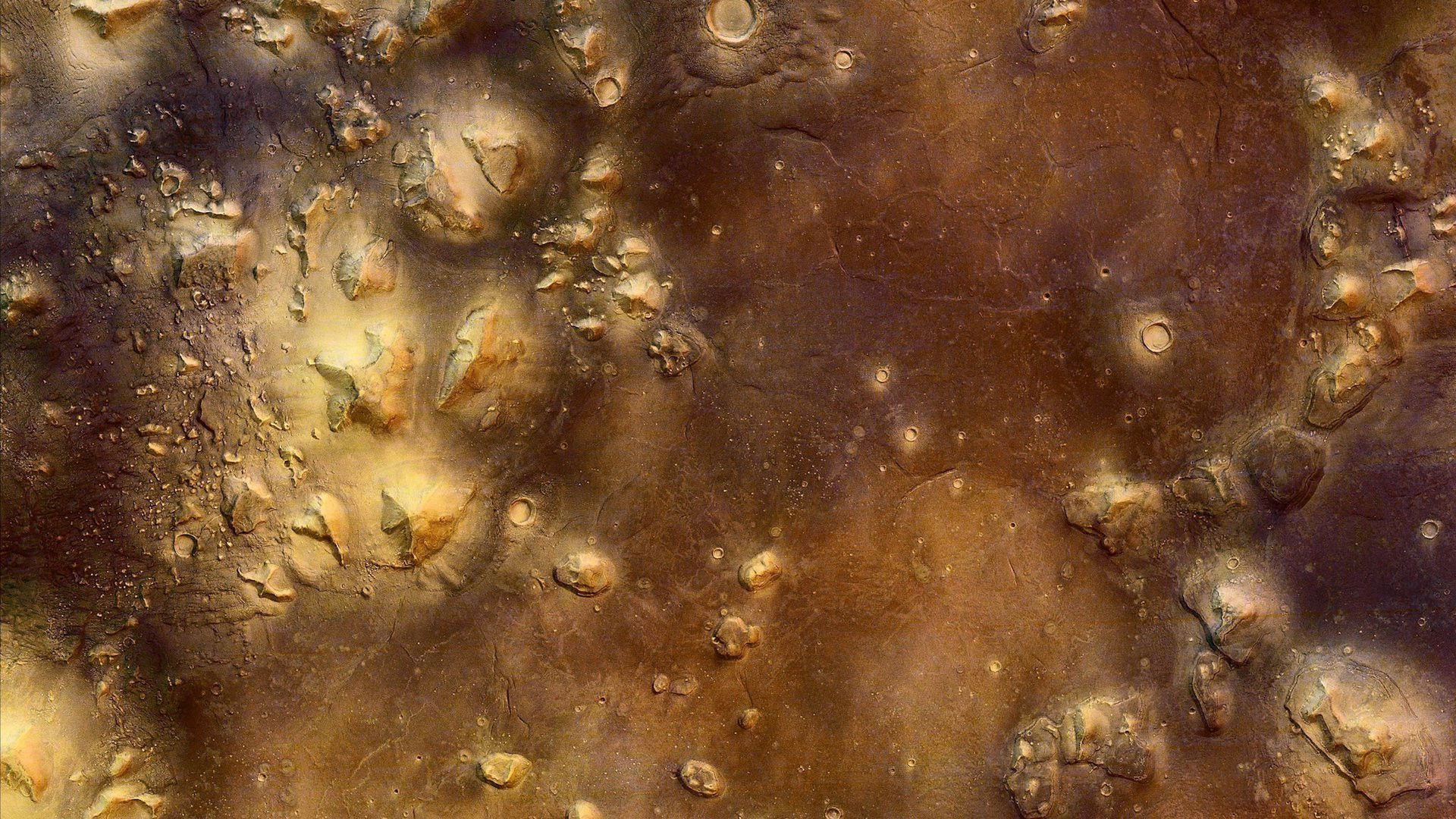 Backdrop for Packing for Mars