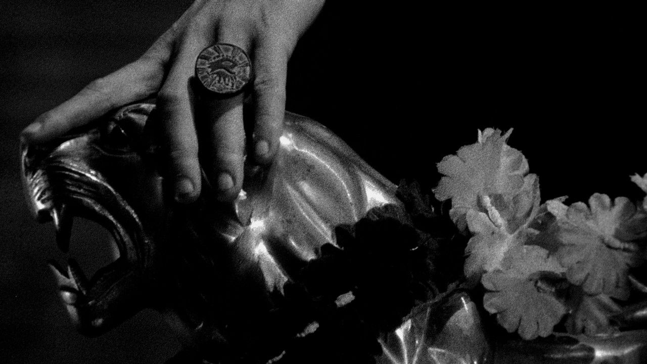 Backdrop for Our Friend the Moon