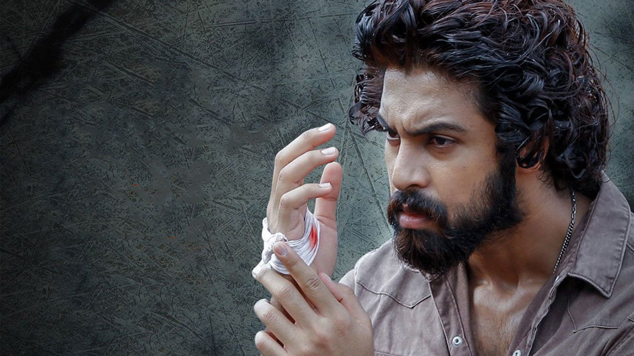 Backdrop for Kinnerasani