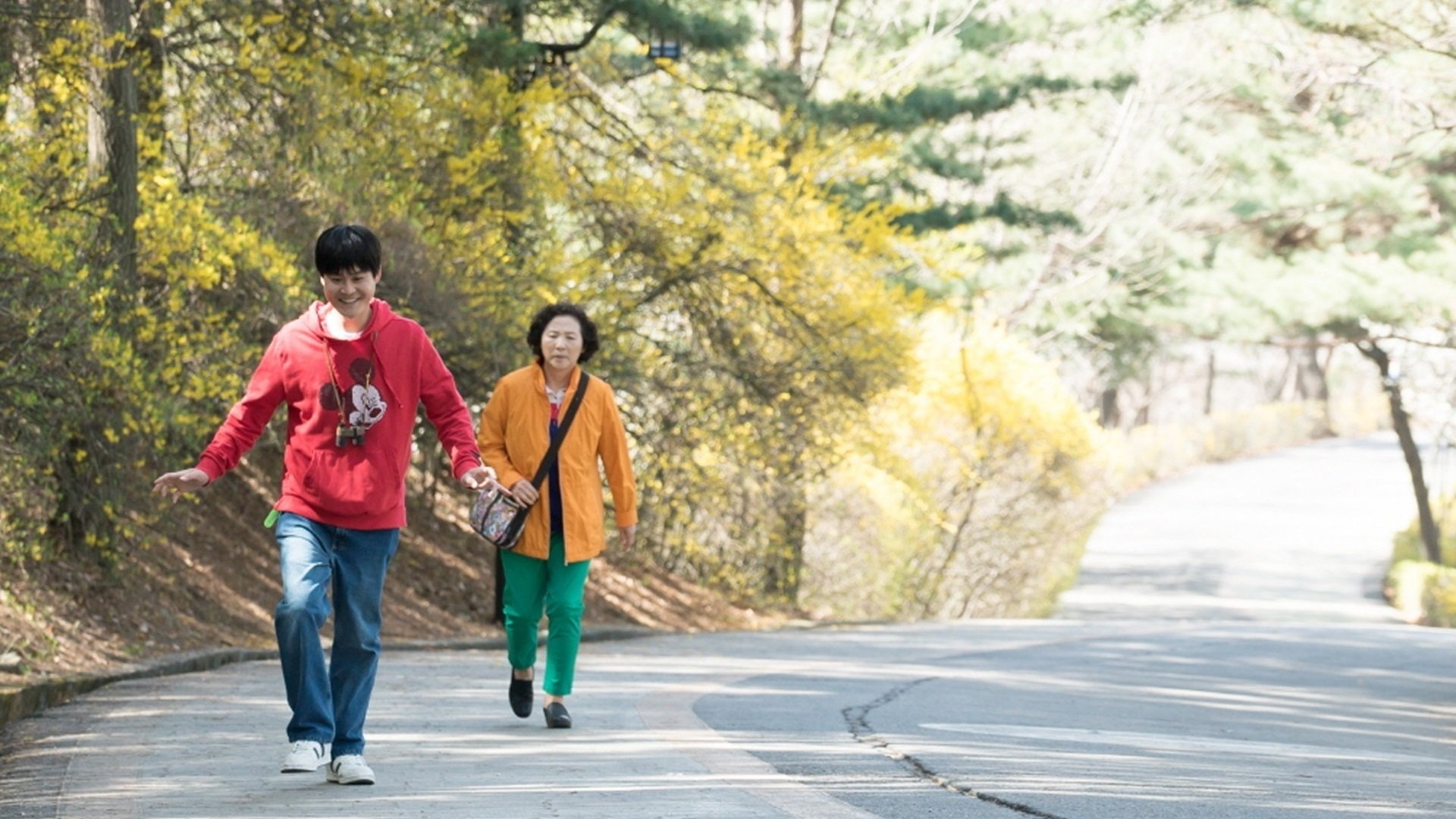 Backdrop for The Preparation