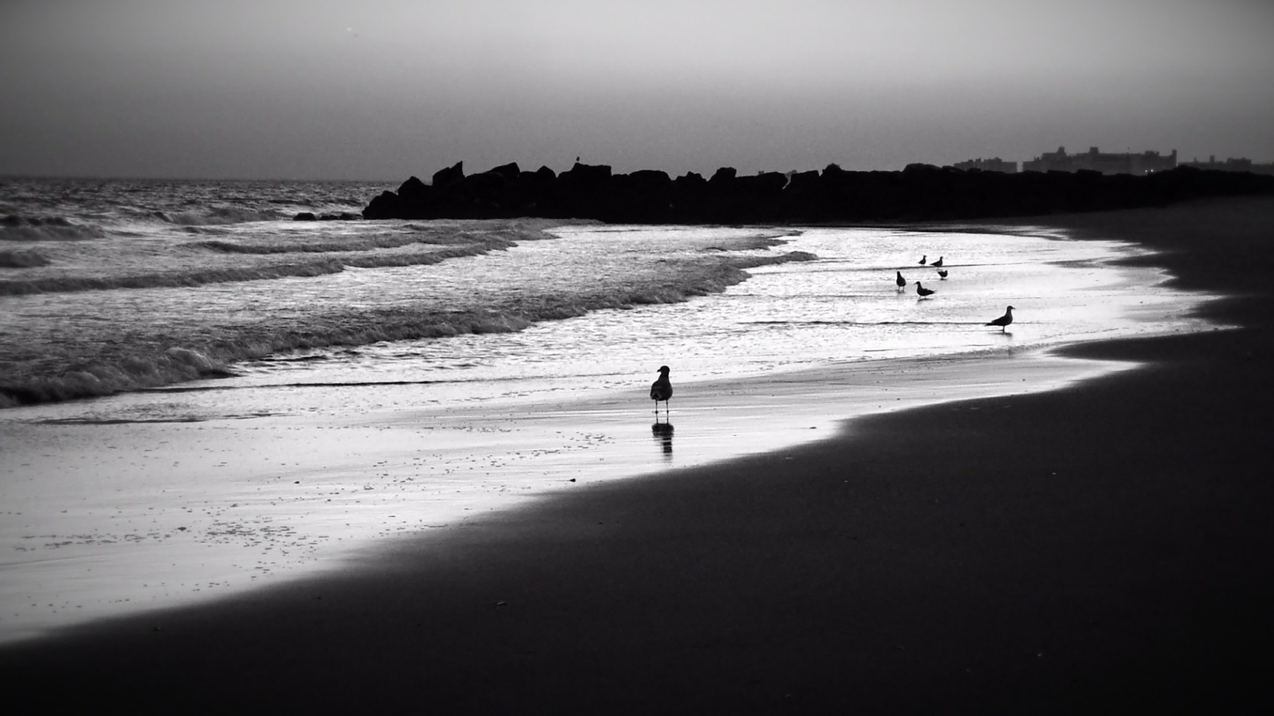 Backdrop for The Red Goodnight