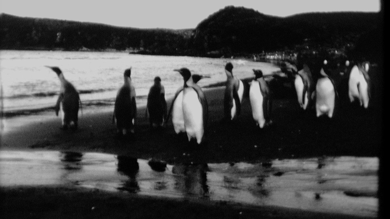 Backdrop for End of Summer