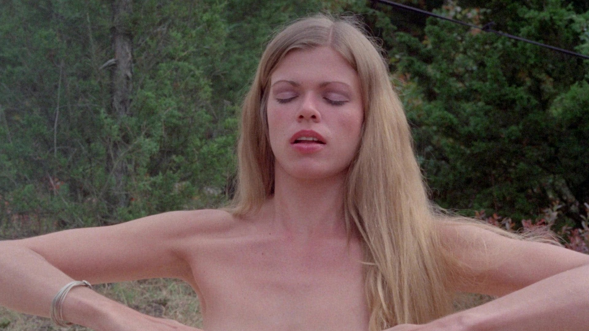 Backdrop for The Vixens of Kung Fu (A Tale of Yin Yang)